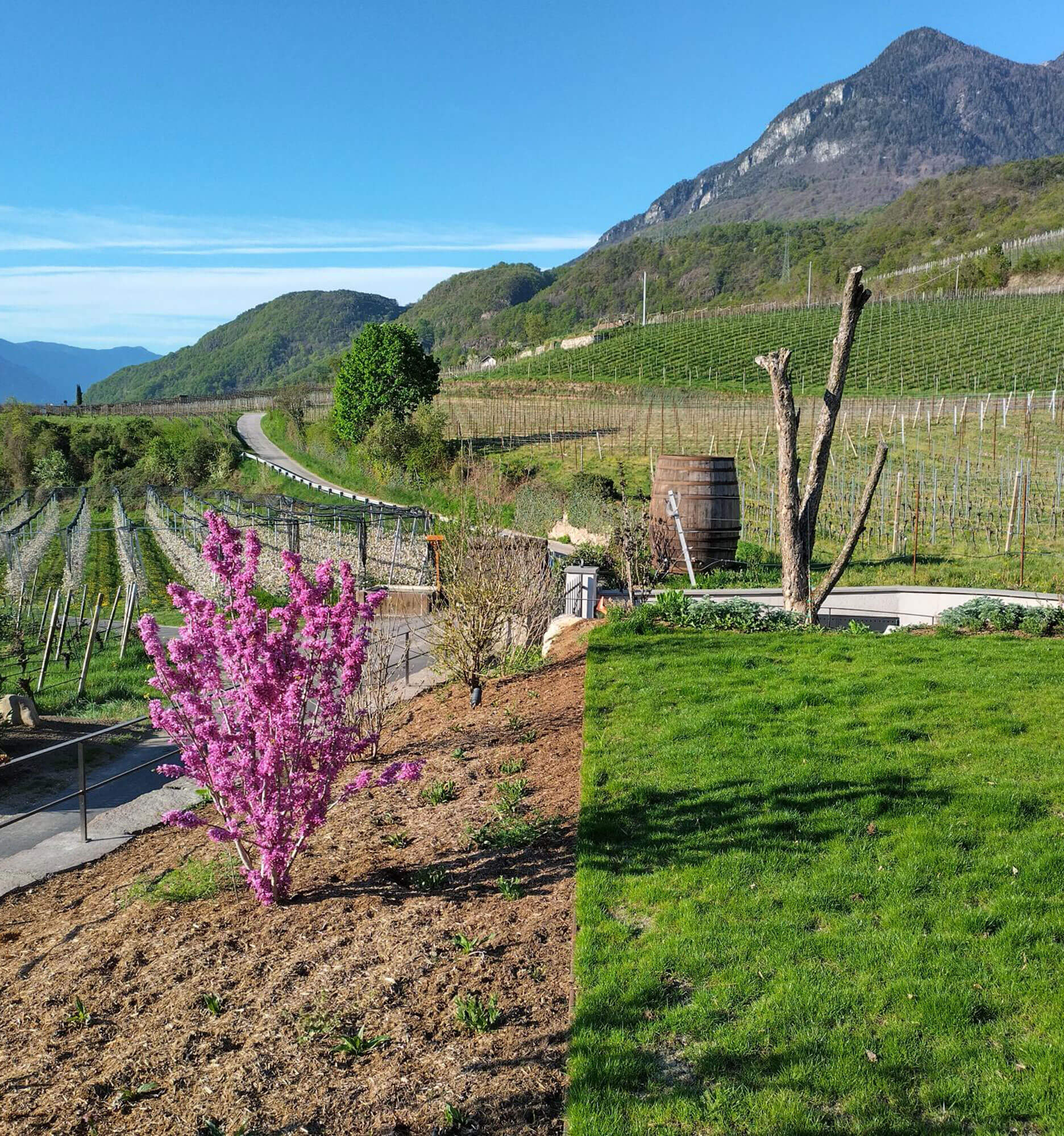 Around the Barleithof