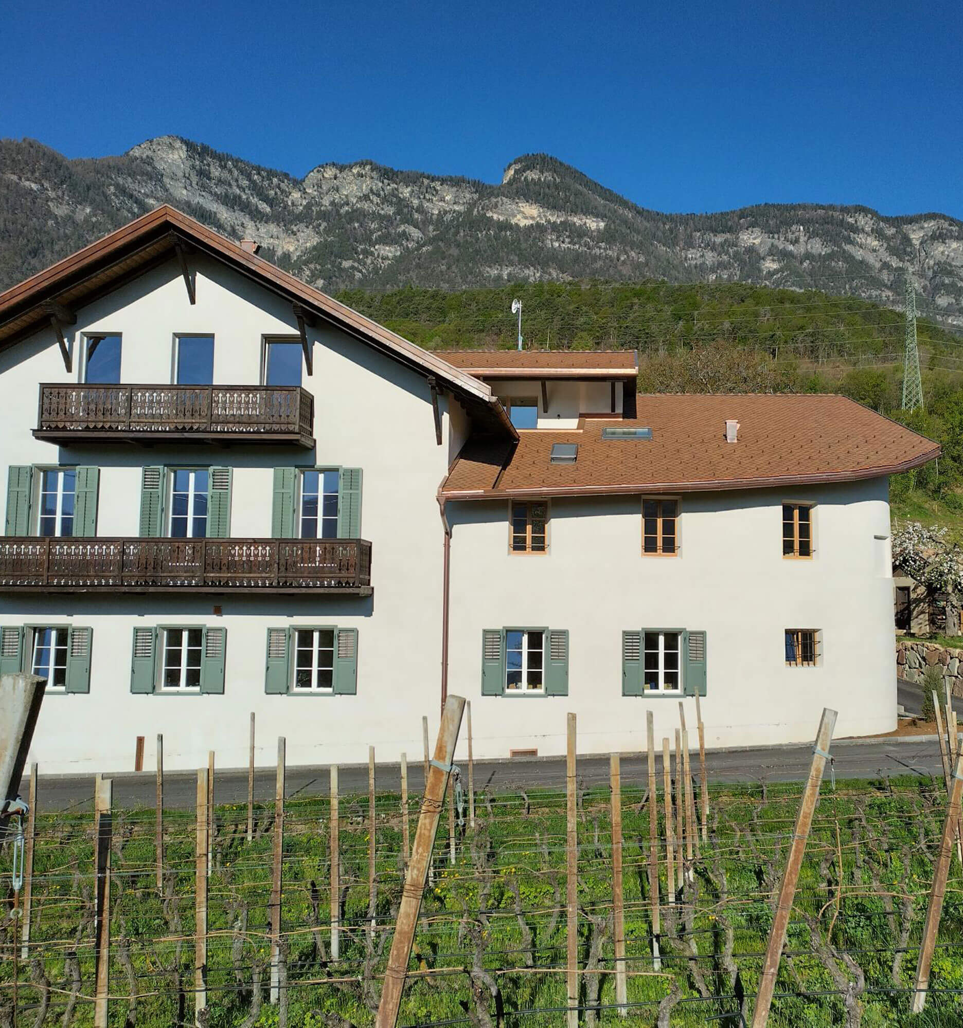 Exterior view from Barleithof