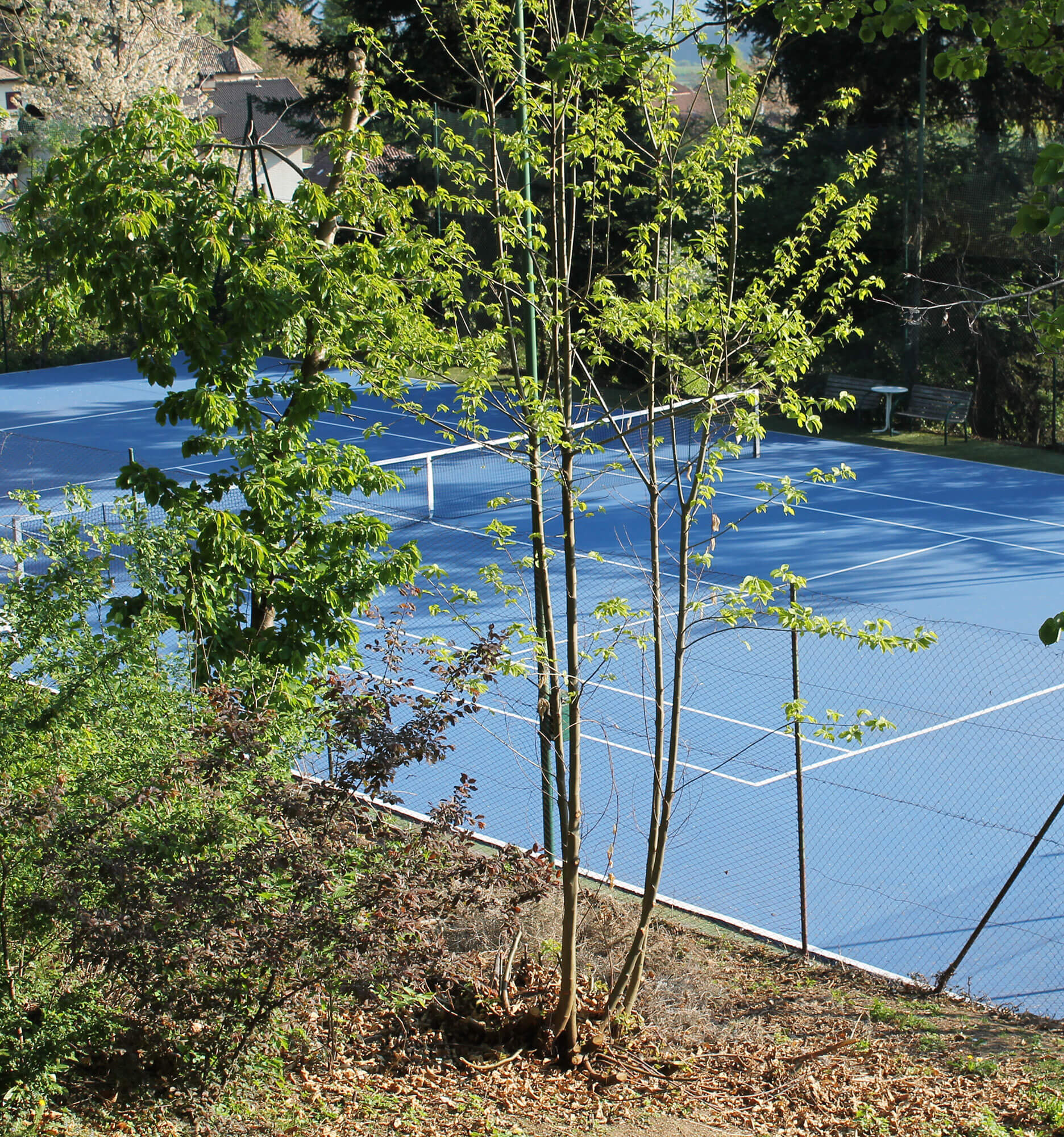 Hauseigener Tennisplatz
